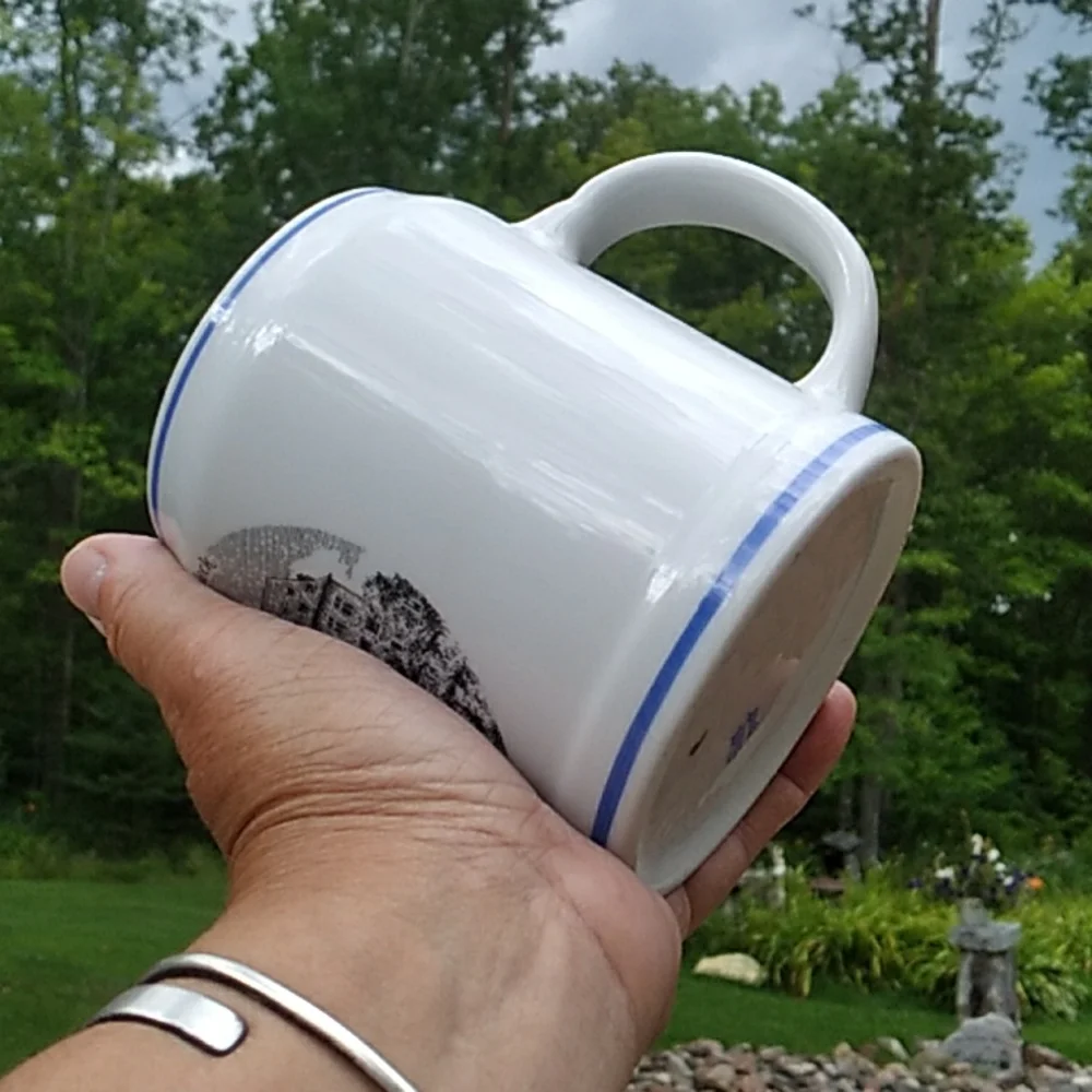 🍻 German Vintage Bayern Burg Stahleck Souvenir Beer Stein 5